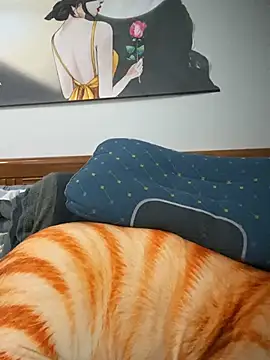 siorin_24 webcam