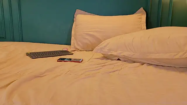 ale_cam webcam