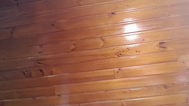 Amy_channel webcam