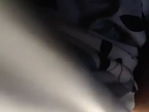 IMAGatMARK webcam