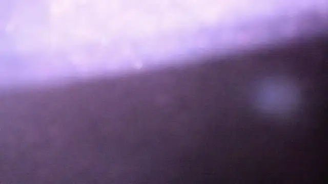 nikiniki_sexmi webcam