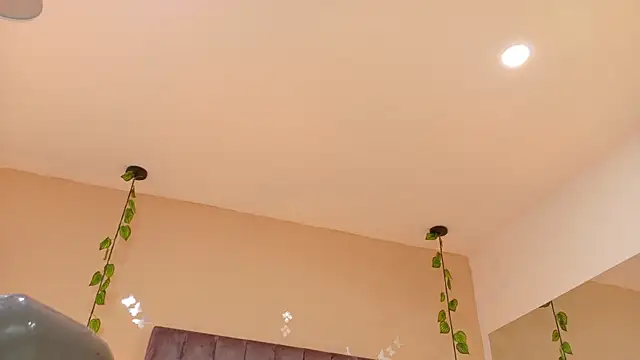 Nascary_Fox webcam