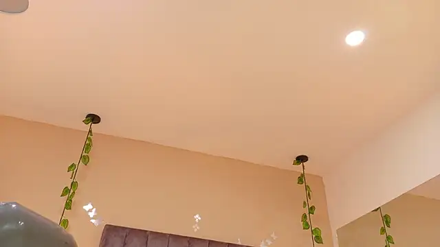 Nascary_Fox live cam on StripChat