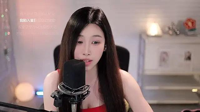 SleepArtist webcam