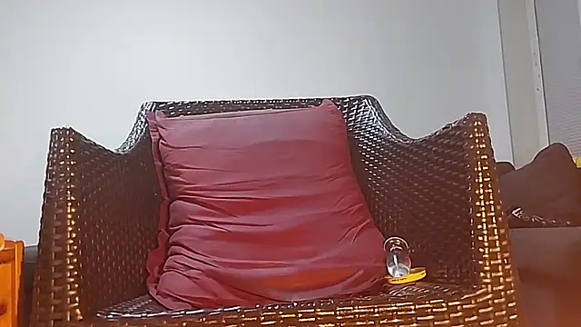 Tyyson03 webcam