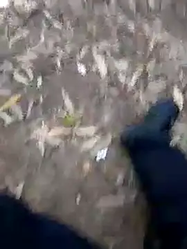MrStreetGuy webcam