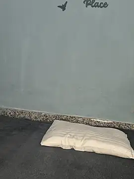 Pari8822 webcam
