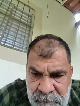 Peludo173317