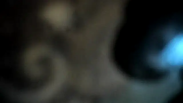 shaddycute_ (F milf) - Make my clitoris vibrate with the Lush