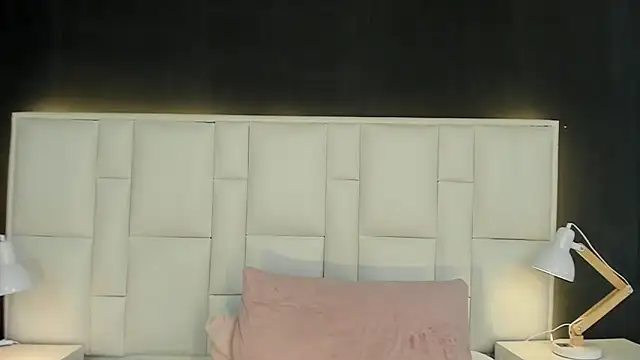 yeral2017 webcam
