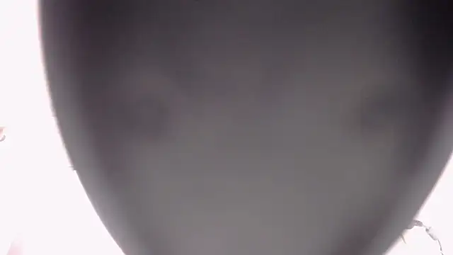 paulacastrosilva1993 webcam
