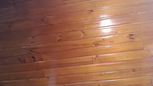 Amy_channel webcam