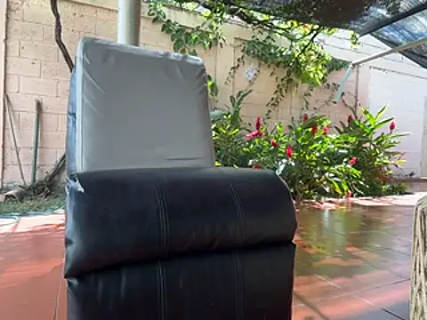 Neil_and_isaac webcam