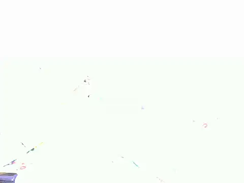 playfullnova webcam