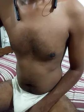 SL-Robinsan webcam
