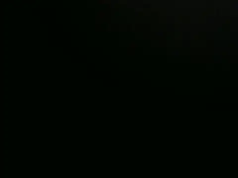 playfullnova webcam