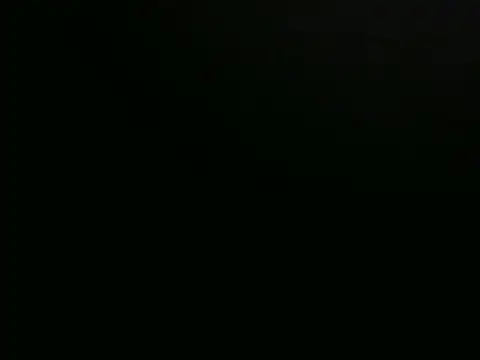playfullnova webcam