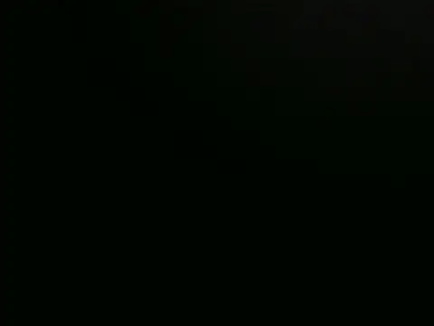 playfullnova webcam