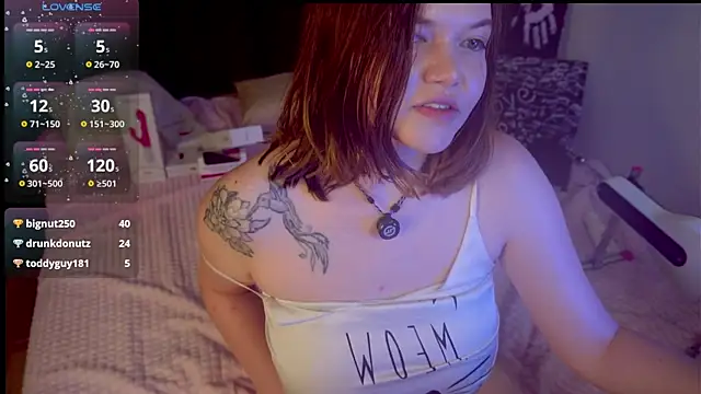 mary_lunar webcam