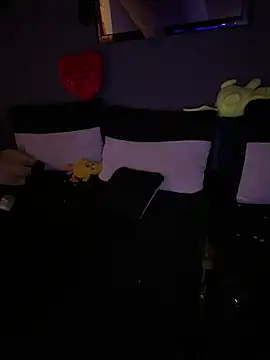 Mohdollmen webcam