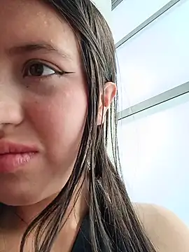 SALOME-28_ webcam