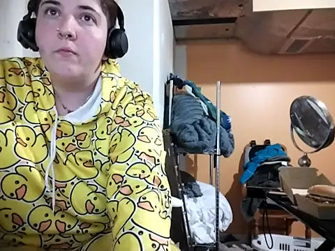 kitacat360 webcam