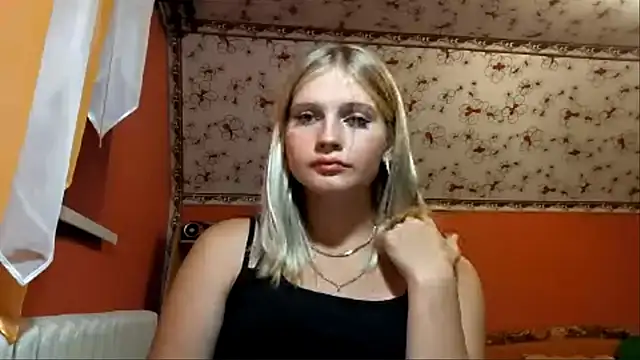 LavelleHolbrook webcam
