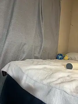Linaroby webcam