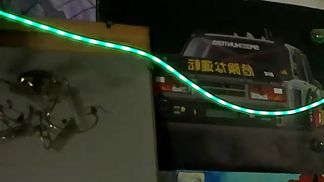 Sunny_Mouse_ webcam