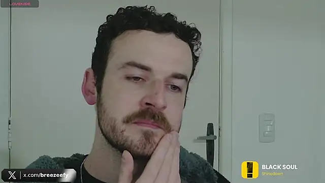 Breezee_ webcam