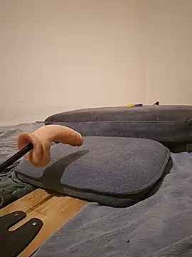 fox--3 webcam