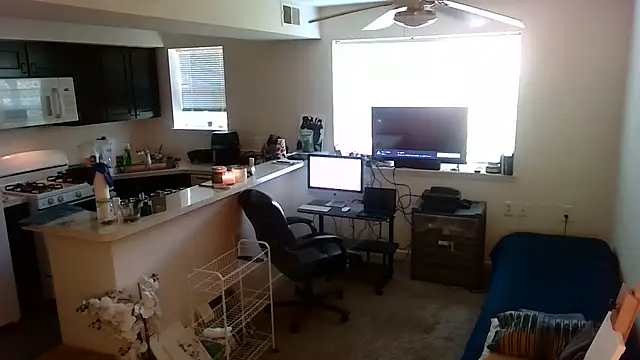 Q1357q webcam