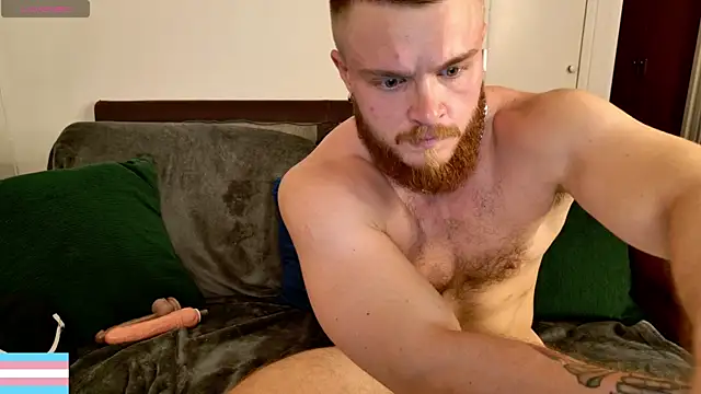 VictorTransMan webcam