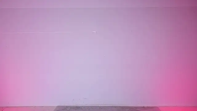 G-Velvet webcam