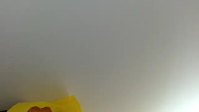 anyela_donecm webcam