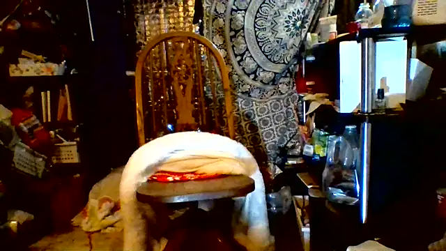 Ambionce webcam