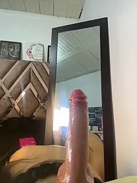CataNexus_Dg webcam
