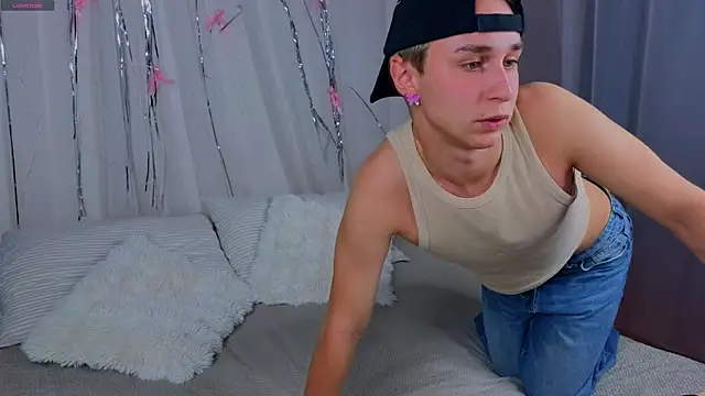 e1v1s webcam