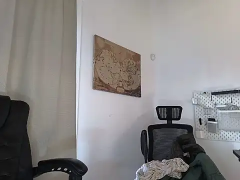 fermaxwell webcam