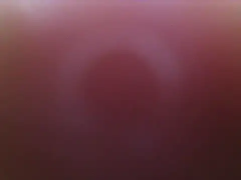 school_fantasy webcam