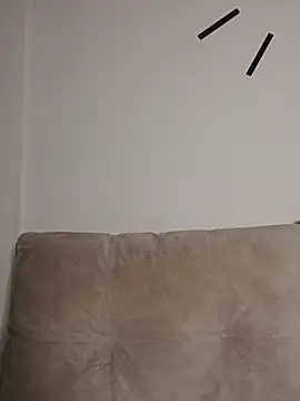 KisaVixen webcam