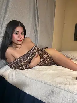 Linaroby webcam