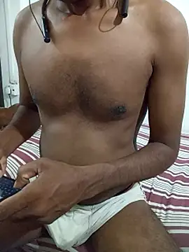 SL-Robinsan webcam