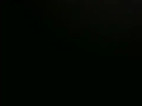 playfullnova webcam