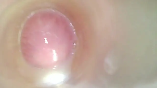 karol_stom webcam