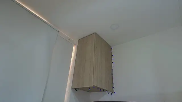 Charlotte11-11 webcam