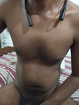 SL-Robinsan webcam