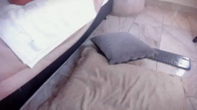 babepolly webcam