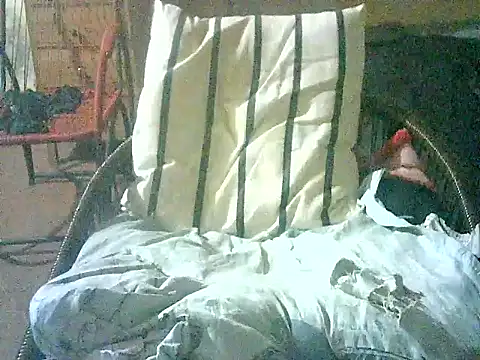 israel3017 webcam