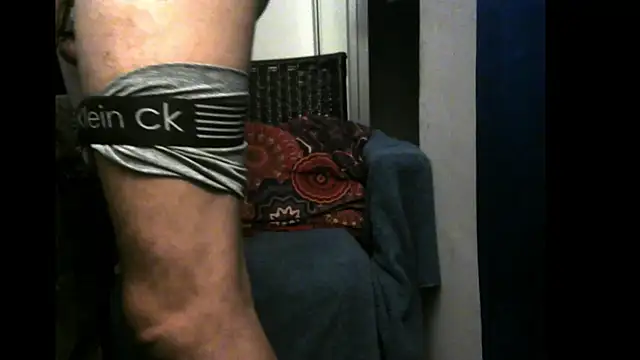 3LEGSSS webcam